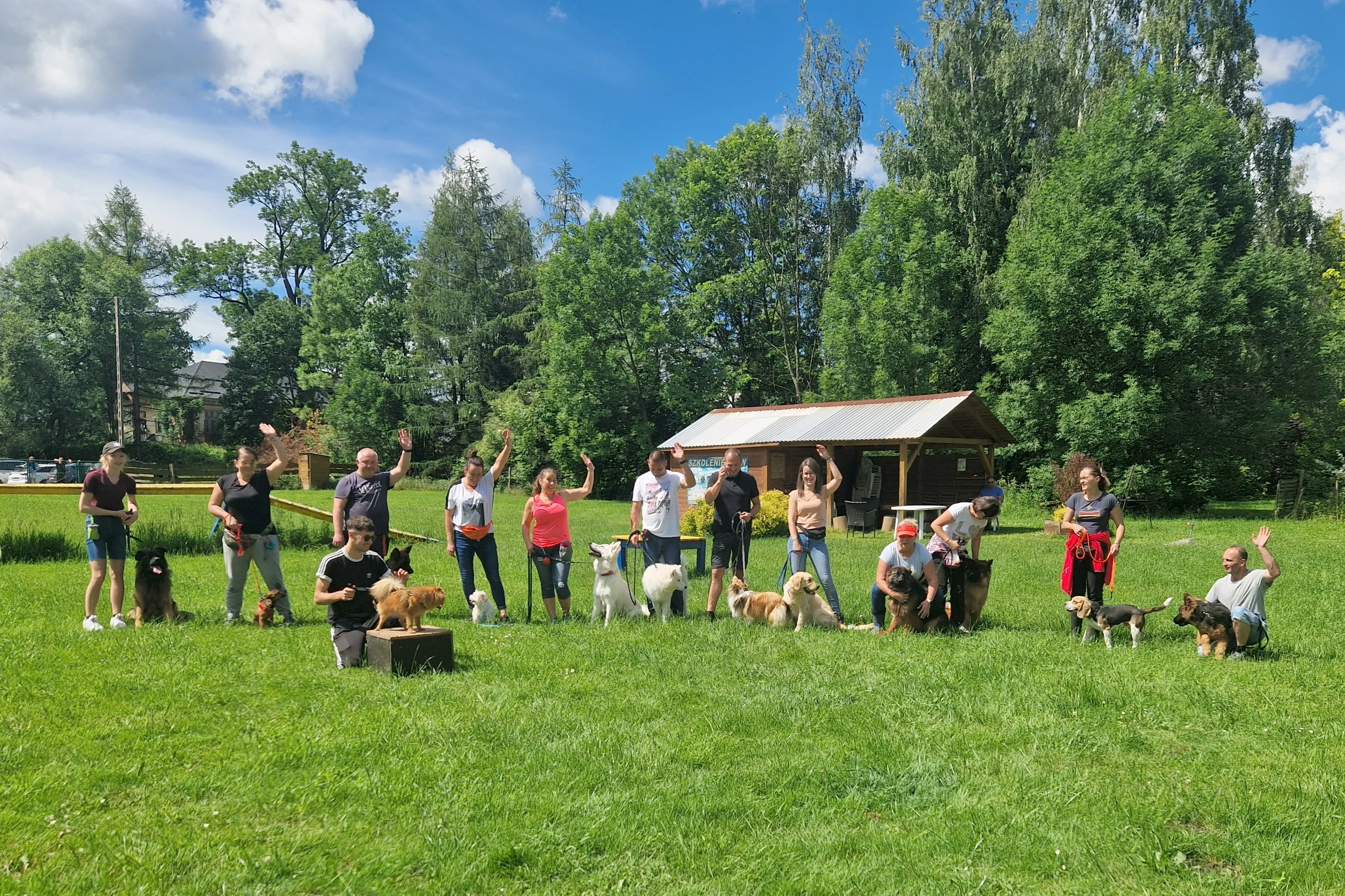 Wiosenny kurs